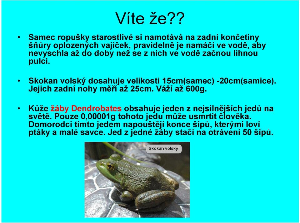 doby než se z nich ve vodězačnou líhnou pulci. Skokan volský dosahuje velikosti 15cm(samec) -20cm(samice).