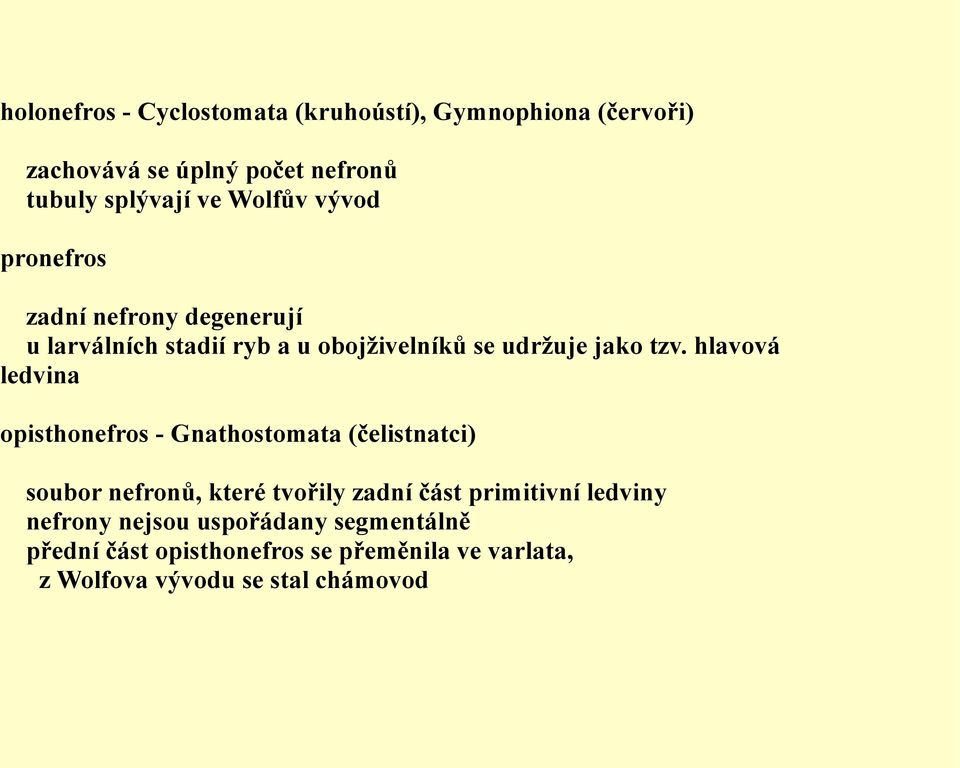 hlavová ledvina opisthonefros - Gnathostomata (čelistnatci) soubor nefronů, které tvořily zadní část primitivní