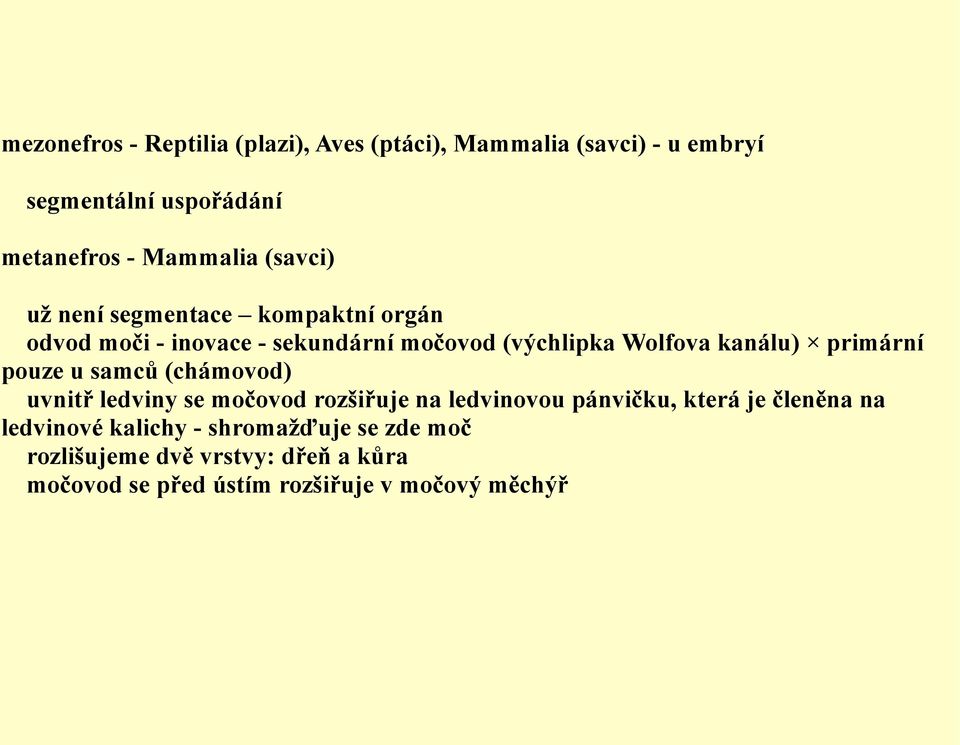 primární pouze u samců (chámovod) uvnitř ledviny se močovod rozšiřuje na ledvinovou pánvičku, která je členěna na