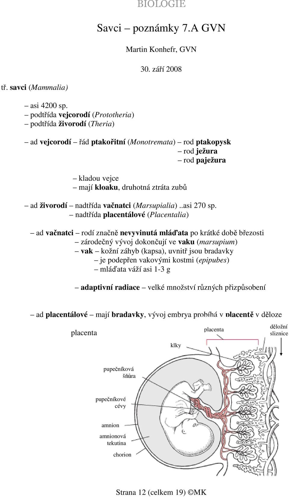 nadtřída vačnatci (Marsupialia)..asi 270 sp.