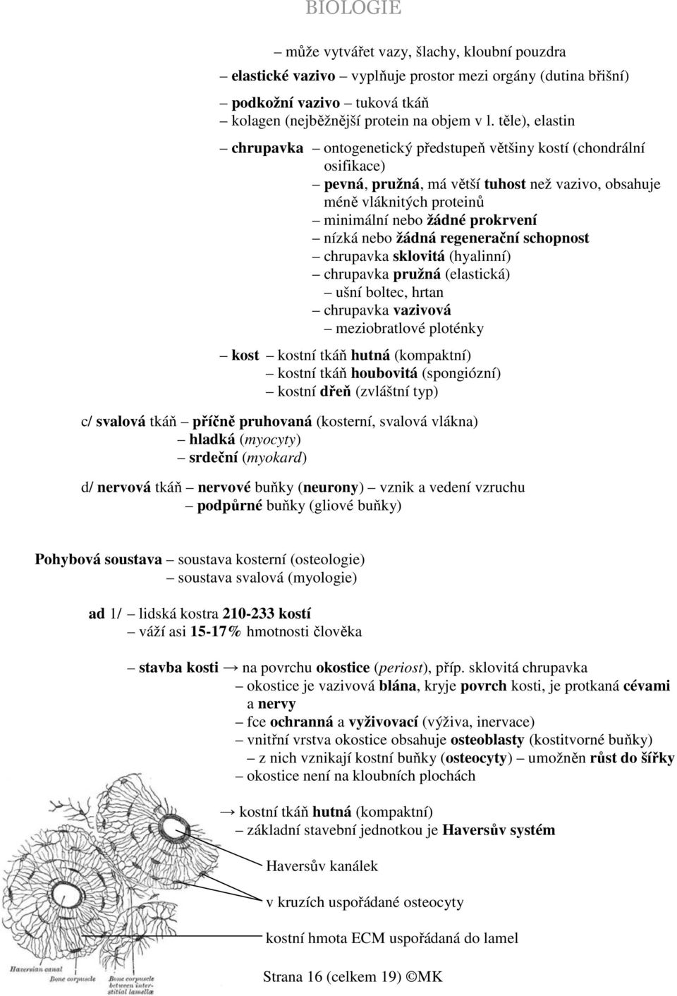 nízká nebo žádná regenerační schopnost chrupavka sklovitá (hyalinní) chrupavka pružná (elastická) ušní boltec, hrtan chrupavka vazivová meziobratlové ploténky kost kostní tkáň hutná (kompaktní)