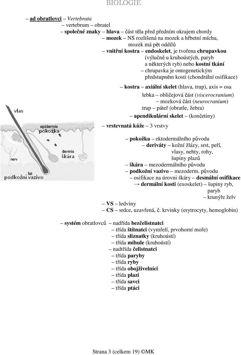 osa lebka obličejová část (viscerocranium) mozková část (neurocranium) trup páteř (obratle, žebra) apendikulární skelet (končetiny) vrstevnatá kůže 3 vrstvy pokožka ektodermálního původu deriváty