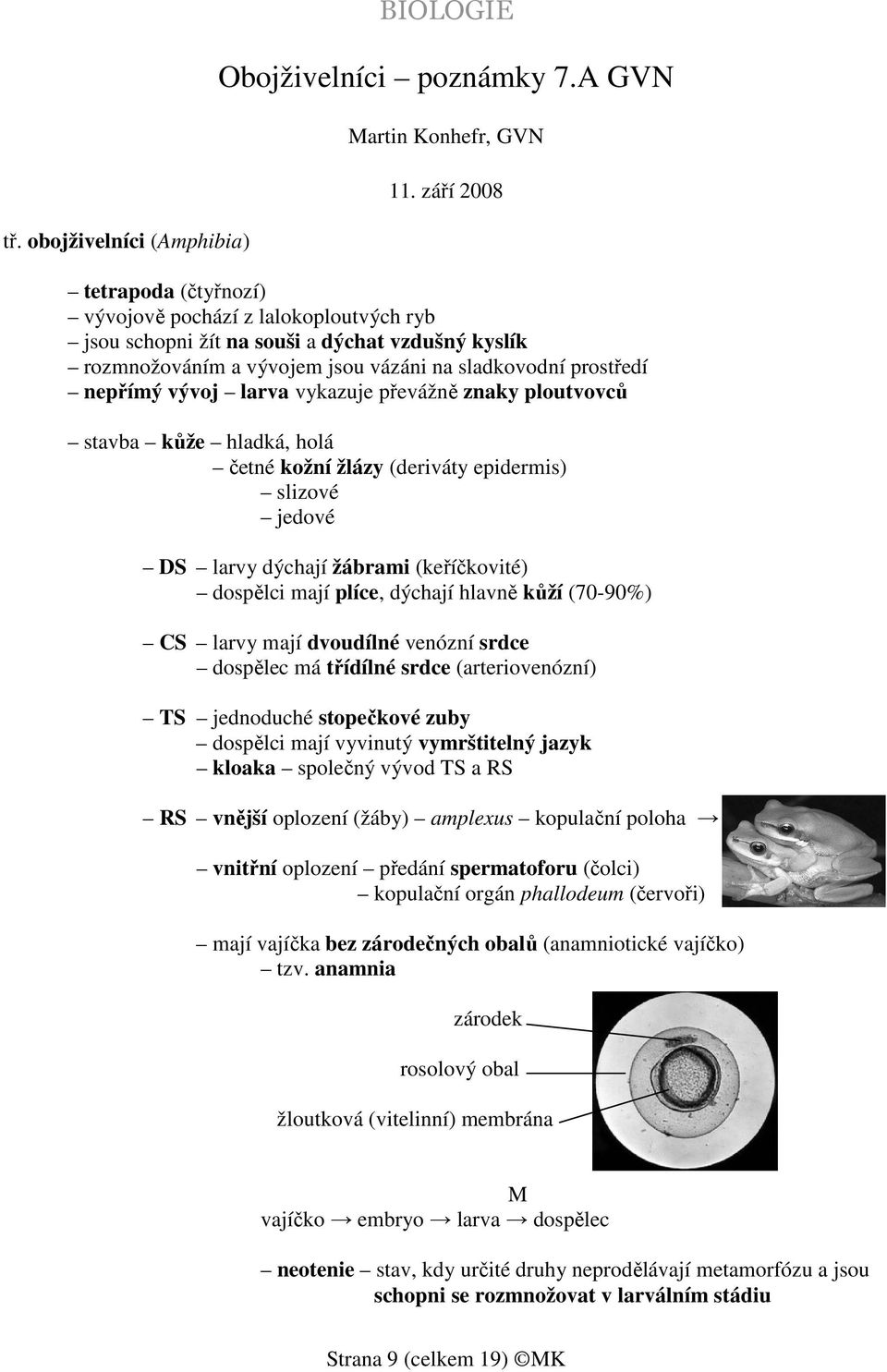 larva vykazuje převážně znaky ploutvovců stavba kůže hladká, holá četné kožní žlázy (deriváty epidermis) slizové jedové DS larvy dýchají žábrami (keříčkovité) dospělci mají plíce, dýchají hlavně kůží