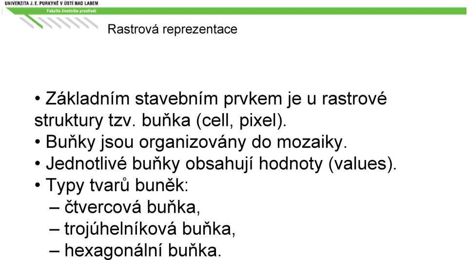 Buňky jsou organizovány do mozaiky.