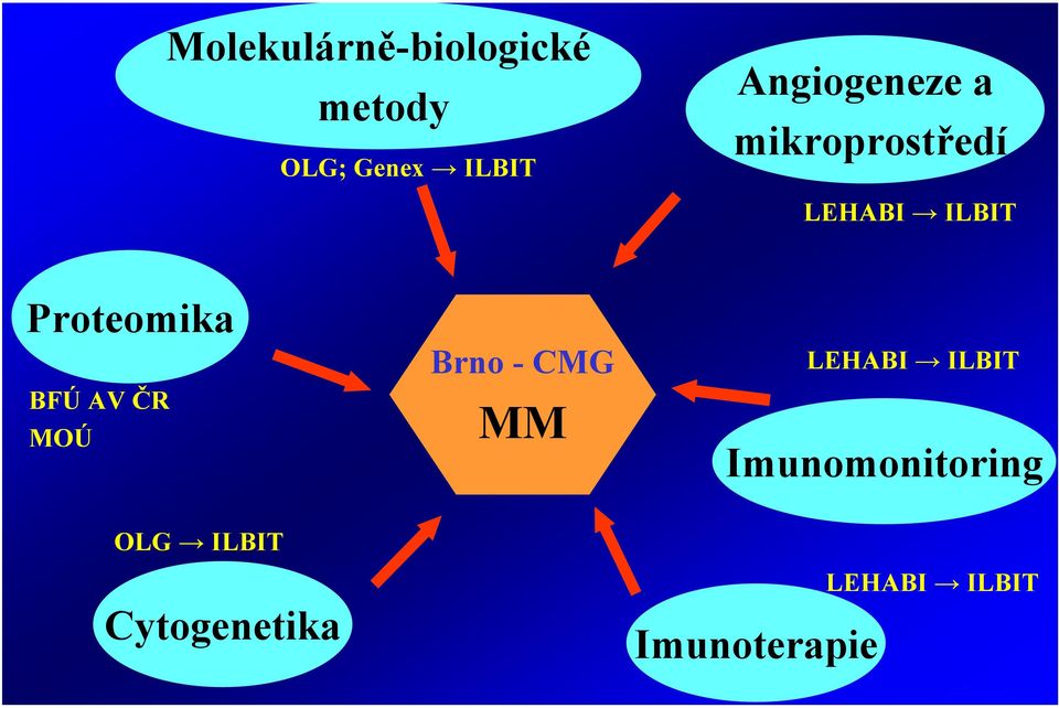 Proteomika BFÚ AV ČR MOÚ Brno - CMG MM LEHABI ILBIT