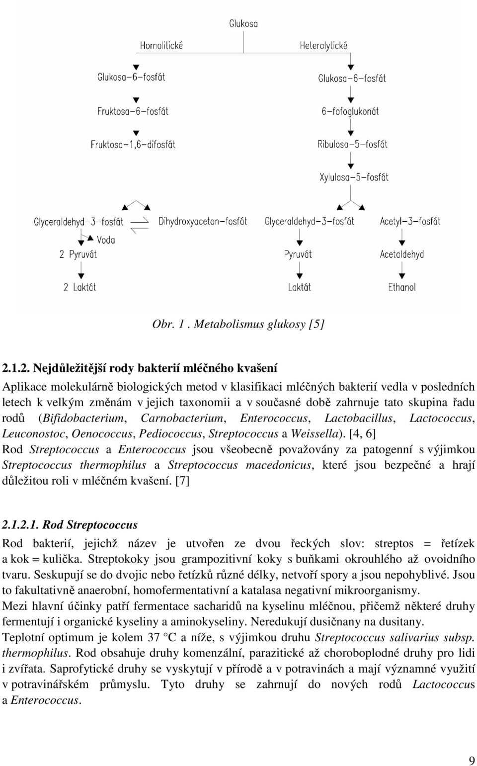 době zahrnuje tato skupina řadu rodů (Bifidobacterium, Carnobacterium, Enterococcus, Lactobacillus, Lactococcus, Leuconostoc, Oenococcus, Pediococcus, Streptococcus a Weissella).