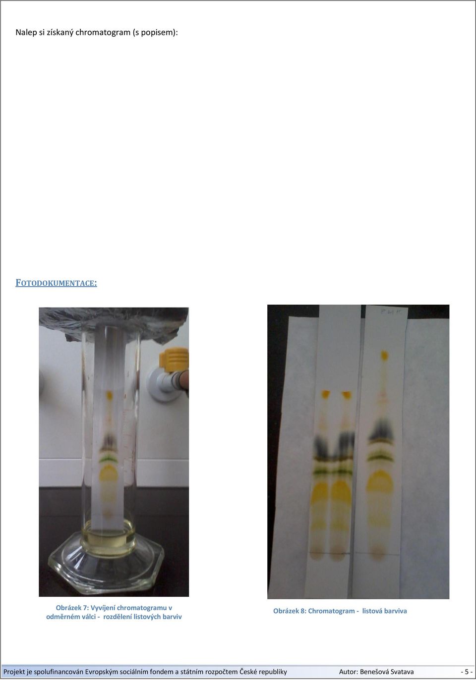 Obrázek 8: Chromatogram - listová barviva Projekt je spolufinancován