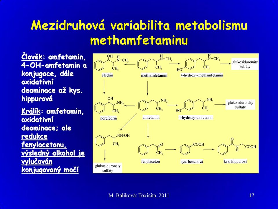 3 norefedrin CH 3 NH 2 glukosiduronáty sulfáty CH 3 NH-OH CH 3 CH 3 N H CH 3 methamfetamin amfetamin NH 2 N H CH 3 CH HO 3 4-hydroxy-methamfetamin HO