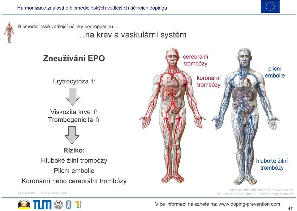 žilní trombózy Plicní embolie Koronární nebo cerebrální trombózy hluboké žilní trombózy Fisher (2003)