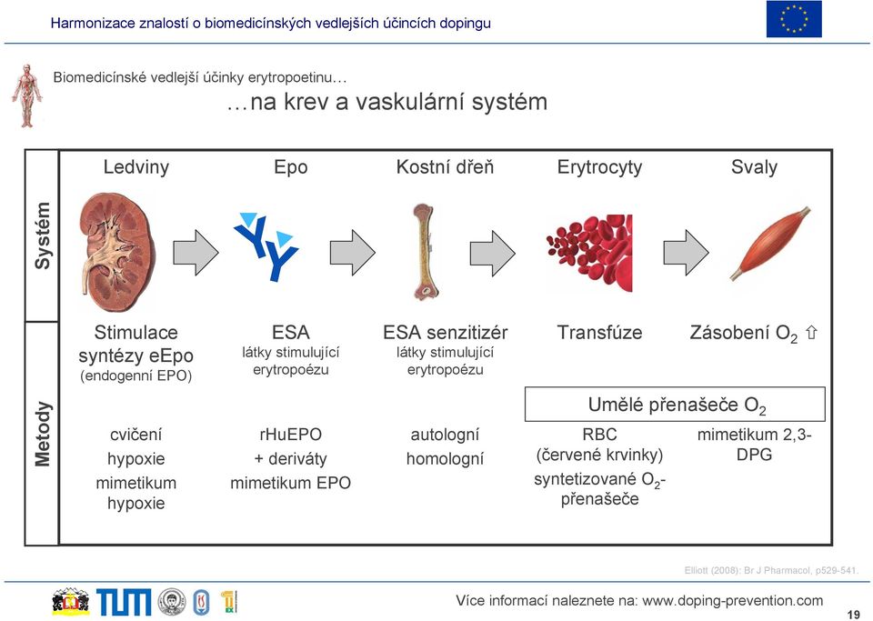 Transfúze Zásobení O 2 Metody cvičení hypoxie mimetikum hypoxie rhuepo + deriváty mimetikum EPO autologní homologní Umělé