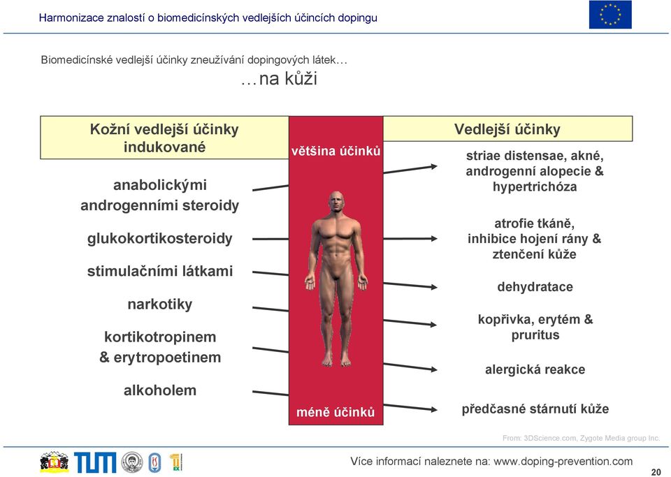 účinků Vedlejší účinky striae distensae, akné, androgenní alopecie & hypertrichóza atrofie tkáně, inhibice hojení rány &