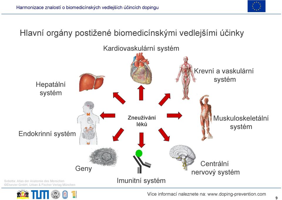 léků Muskuloskeletální systém Sobotta: Atlas der Anatomie des Menschen Elsevier