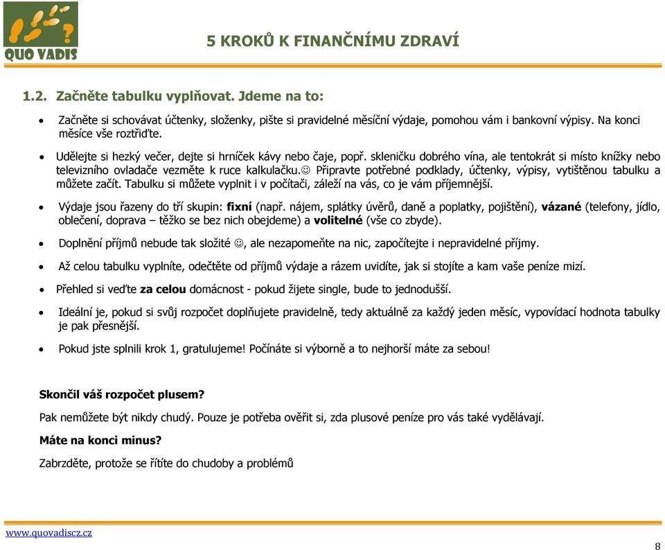 Připravte potřebné podklady, účtenky, výpisy, vytištěnou tabulku a můţete začít. Tabulku si můţete vyplnit i v počítači, záleţí na vás, co je vám příjemnější.