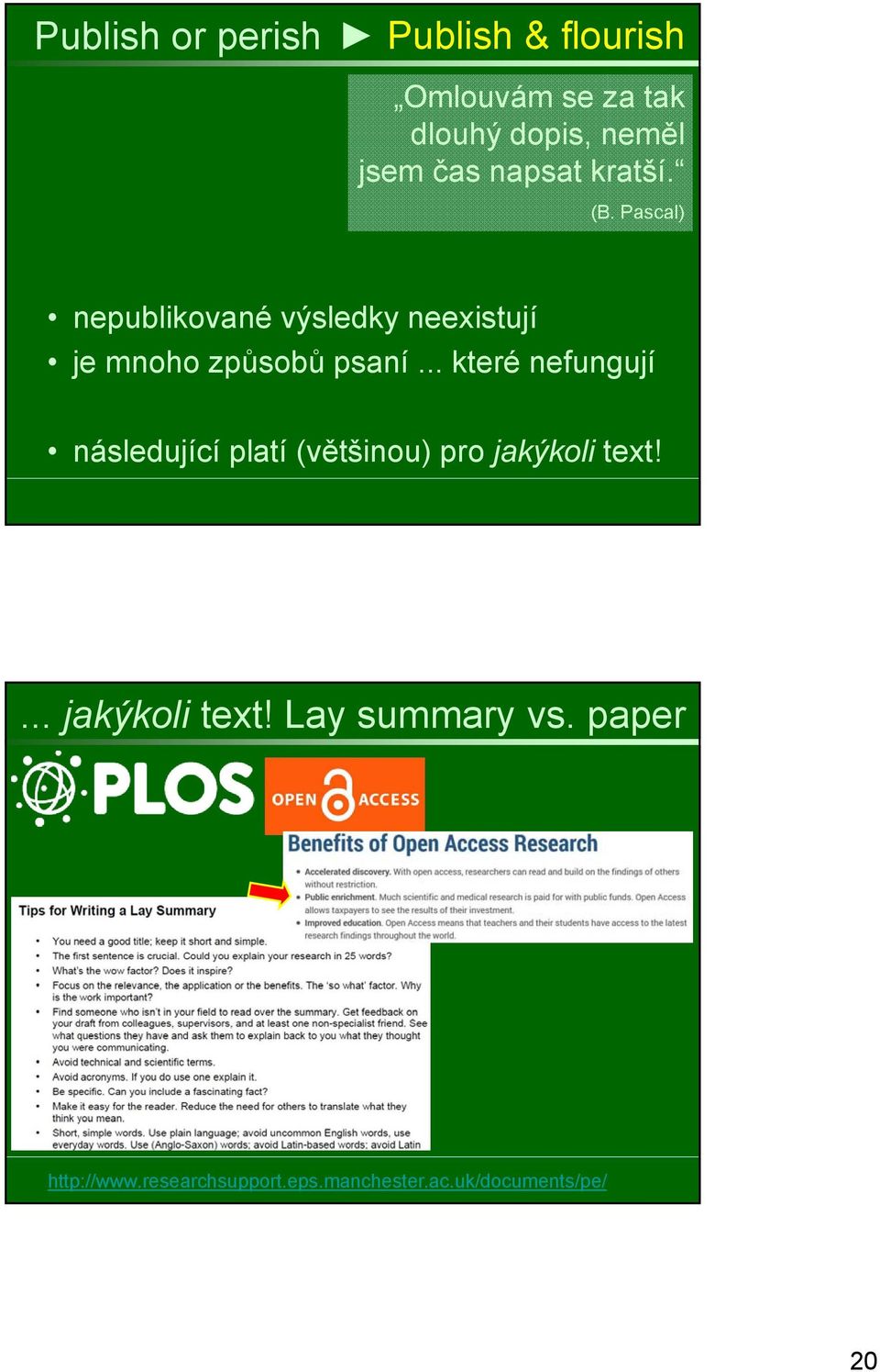 .. které nefungují následující platí (většinou) pro jakýkoli text!... jakýkoli text! Lay summary vs.