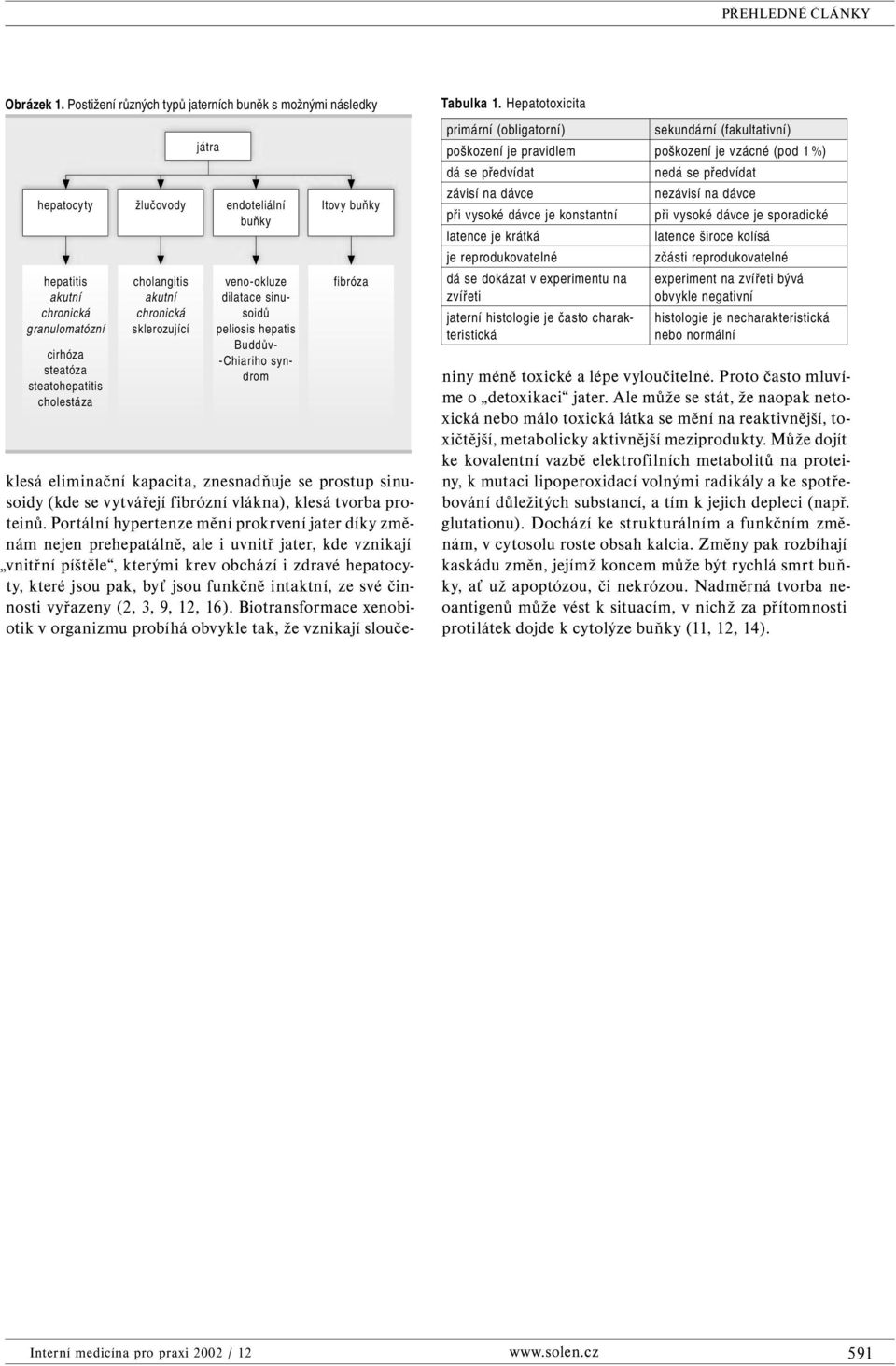 hepatocyty žlučovody endoteliální buňky veno-okluze dilatace sinusoidů peliosis hepatis Buddův- -Chiari ho syndrom Itovy buňky fibróza Tabulka 1.