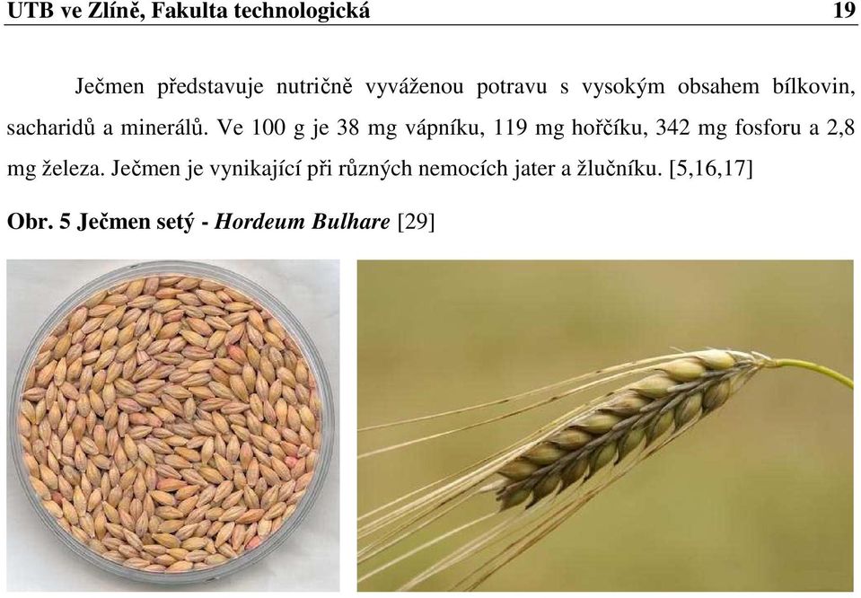 Ve 100 g je 38 mg vápníku, 119 mg hořčíku, 342 mg fosforu a 2,8 mg železa.