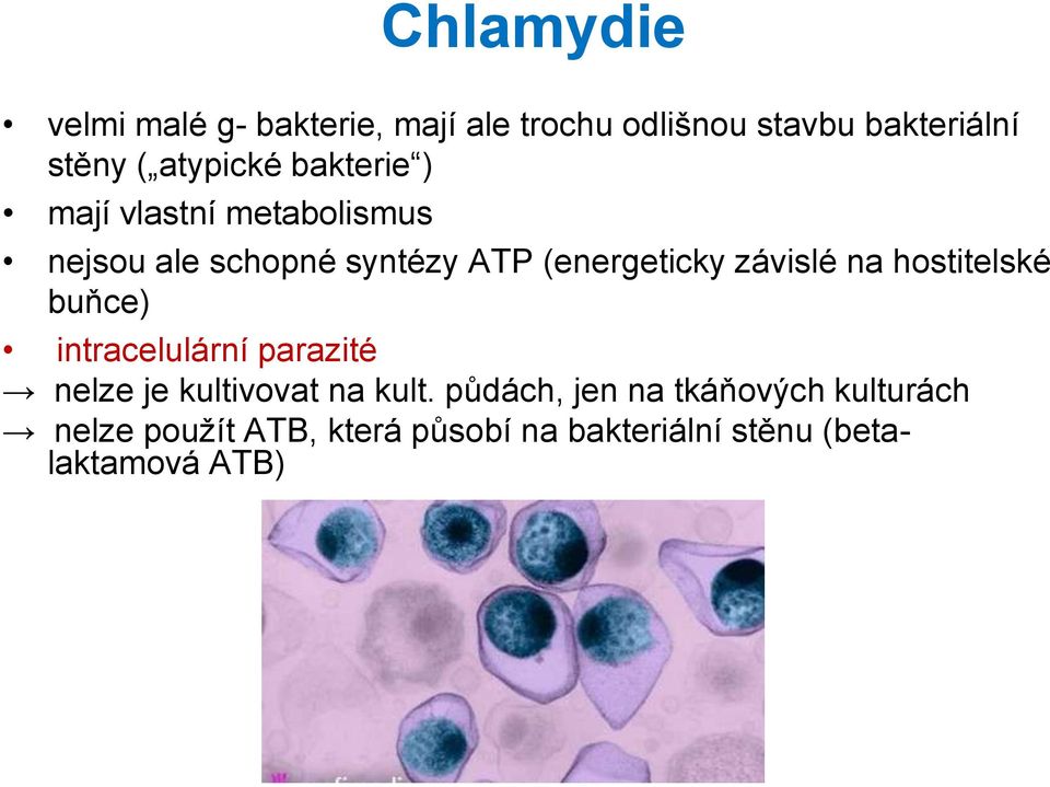 závislé na hostitelské buňce) intracelulární parazité nelze je kultivovat na kult.