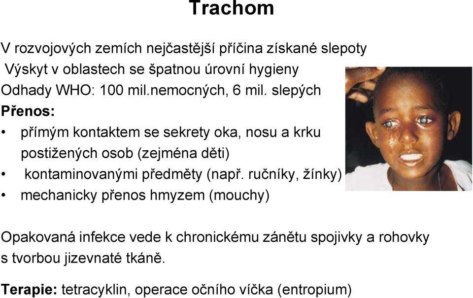 slepých Přenos: přímým kontaktem se sekrety oka, nosu a krku postižených osob (zejména děti) kontaminovanými