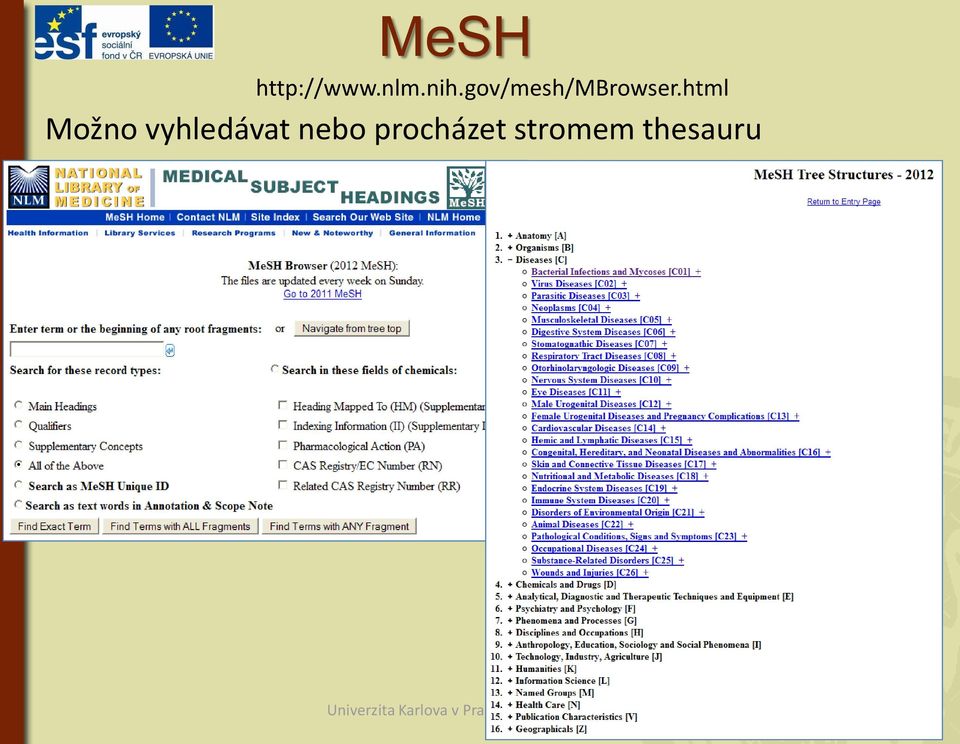 html Možno vyhledávat nebo