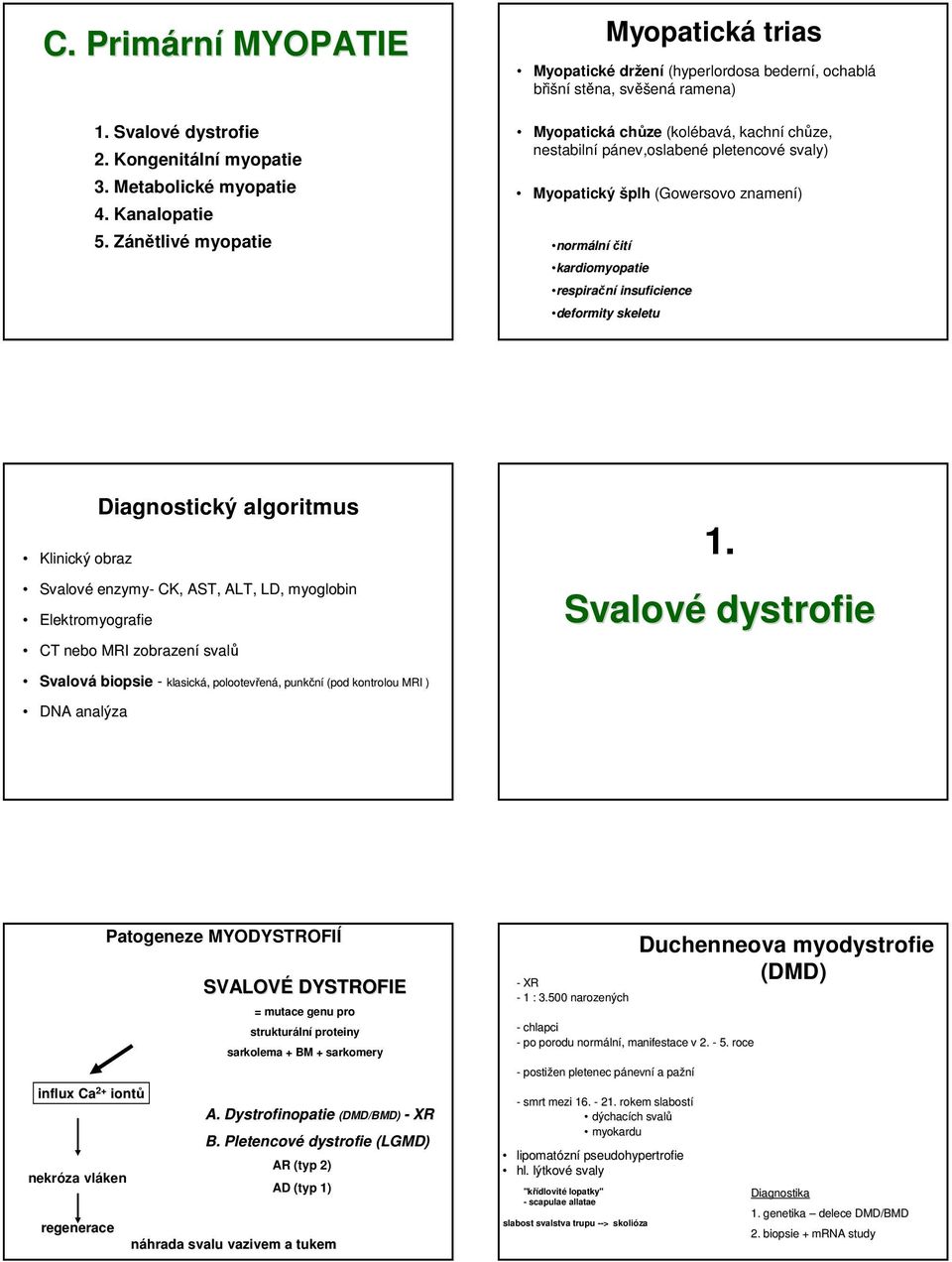 svaly) Myopatický šplh (Gowersovo znamení) normální čití kardiomyopatie respirační insuficience deformity skeletu Klinický obraz Diagnostický algoritmus Svalové enzymy- CK, AST, ALT, LD, myoglobin