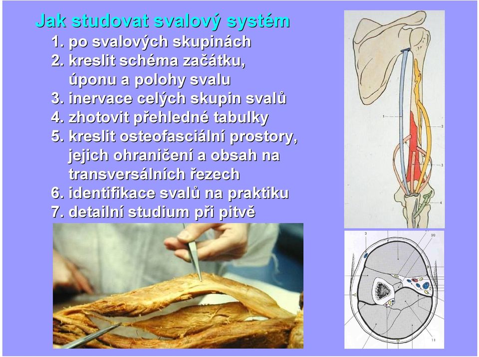 zhotovit přehlednp ehledné tabulky 5.