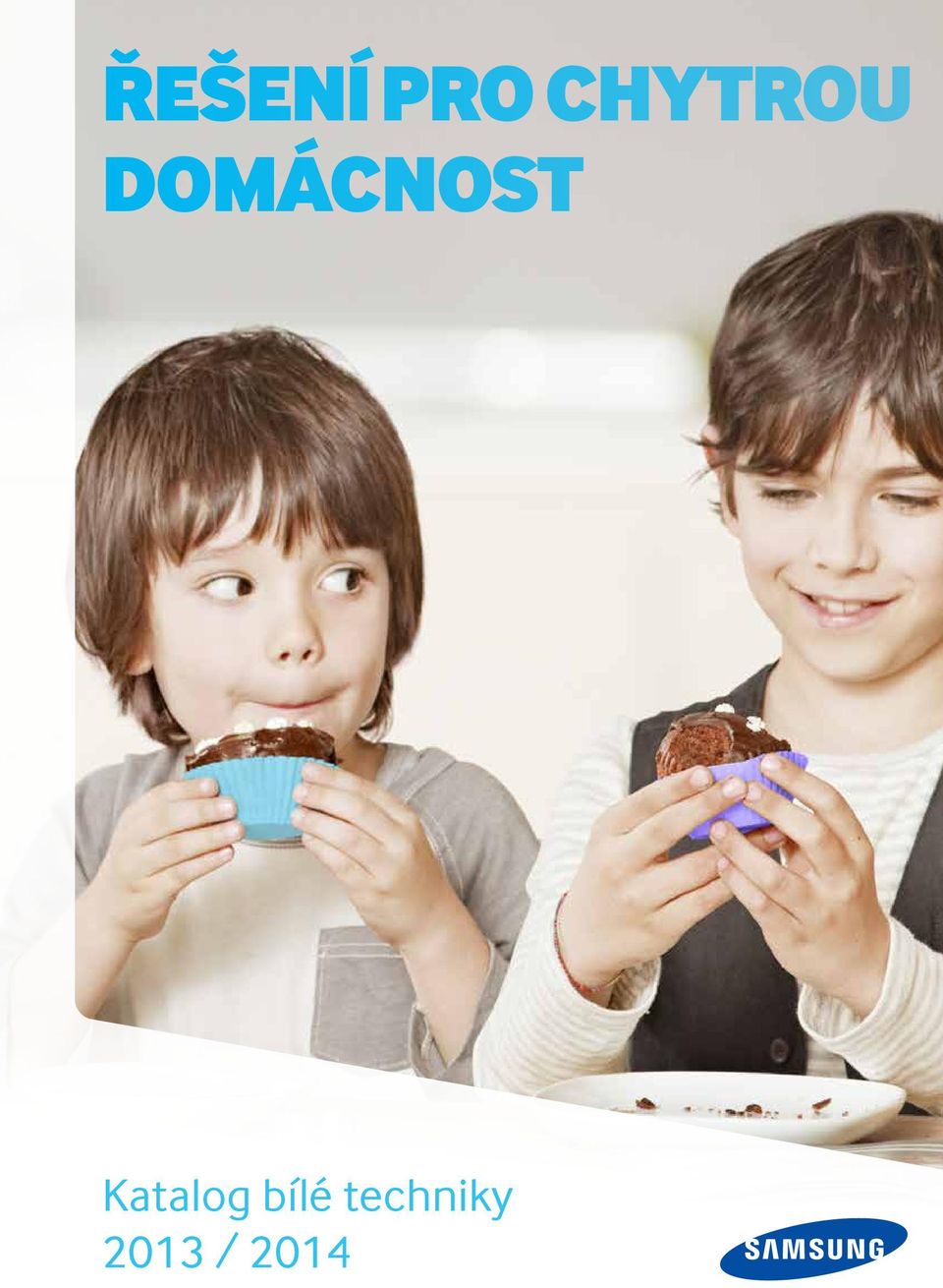 domácnost