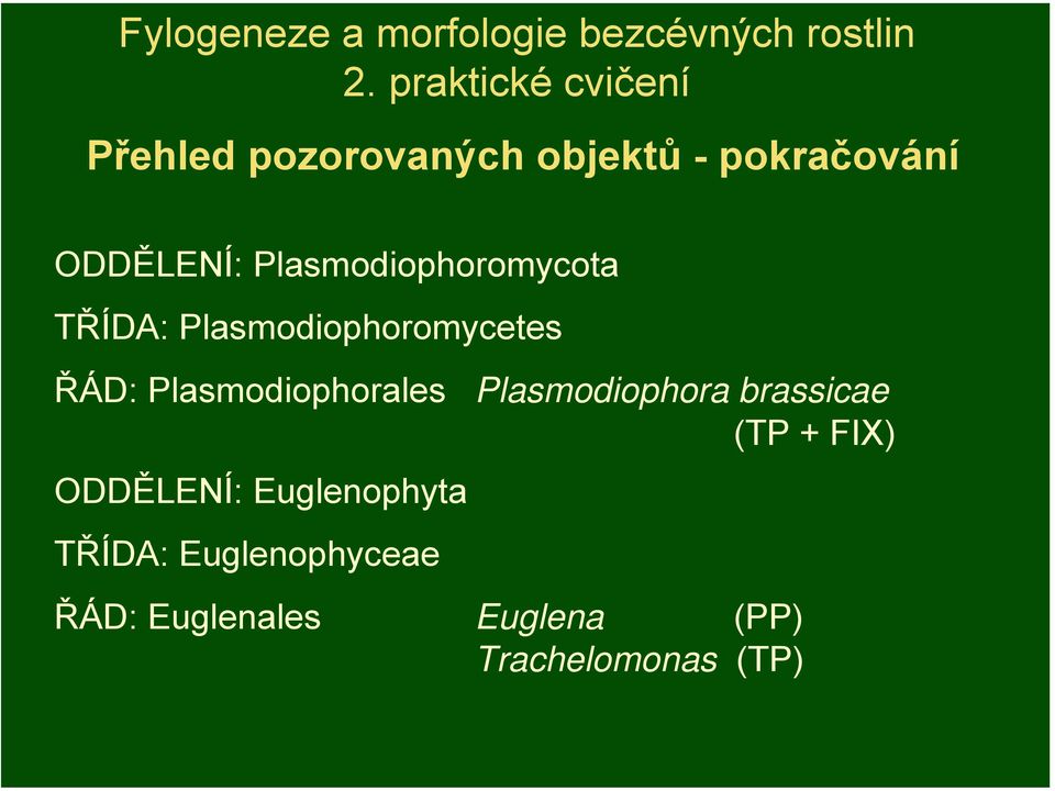 Plasmodiophoromycota TŘÍDA: Plasmodiophoromycetes ŘÁD: Plasmodiophorales