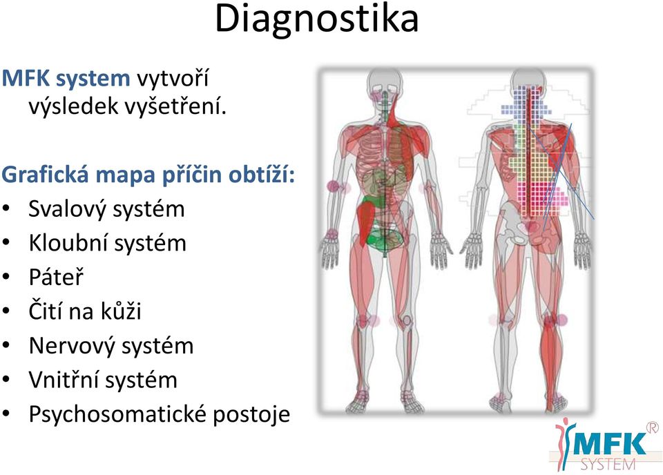 Kloubní systém Páteř Čití na kůži Nervový