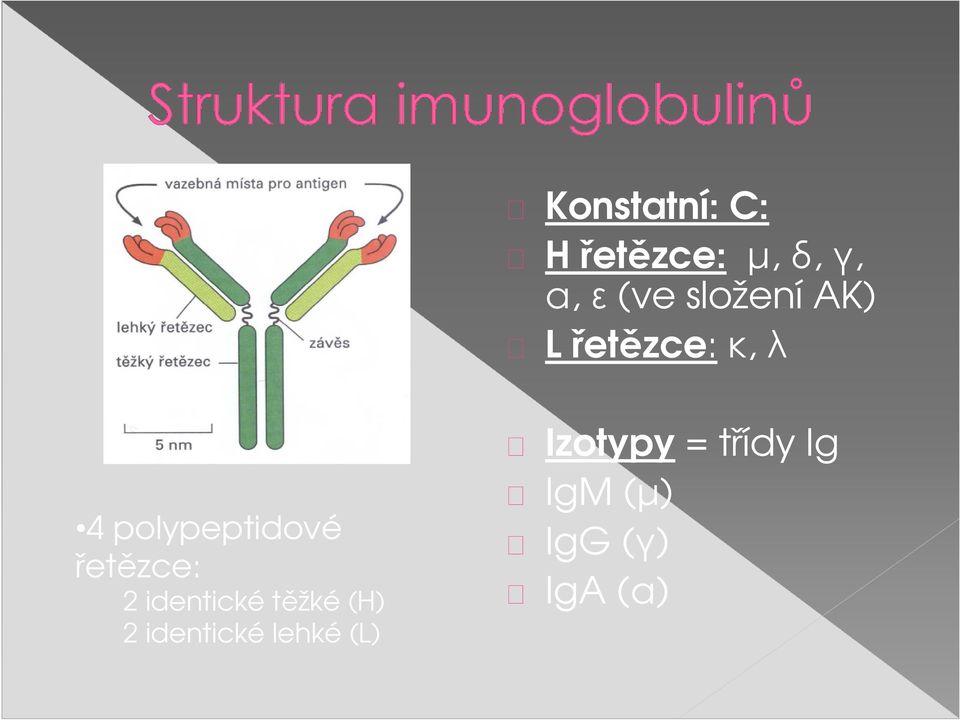 řetězce: 2 identické těžké (H) 2 identické