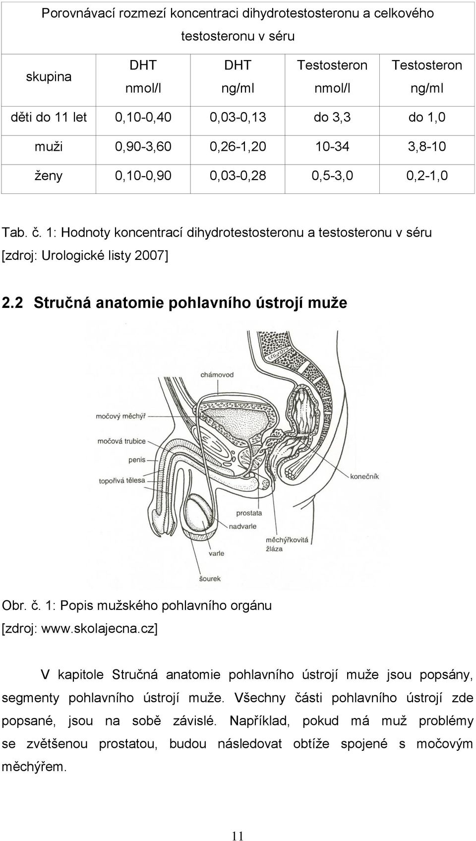 2 Stručná anatomie pohlavního ústrojí muže Obr. č. 1: Popis muţského pohlavního orgánu [zdroj: www.skolajecna.