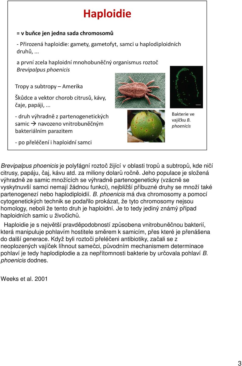 haplodiploidií. B. phoenicis má dva chromosomy a pomocí cytogenetických technik se podařilo prokázat, že tyto chromosomy nejsou homology, neboli že tento druh je haploidní.