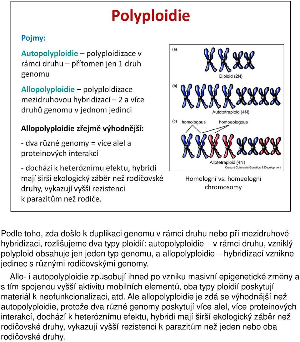 Allo- i autopolyploidie způsobují ihned po vzniku masivní epigenetické změny a s tím spojenou vyšší aktivitu mobilních elementů, oba typy ploidií poskytují materiál k neofunkcionalizaci, atd.