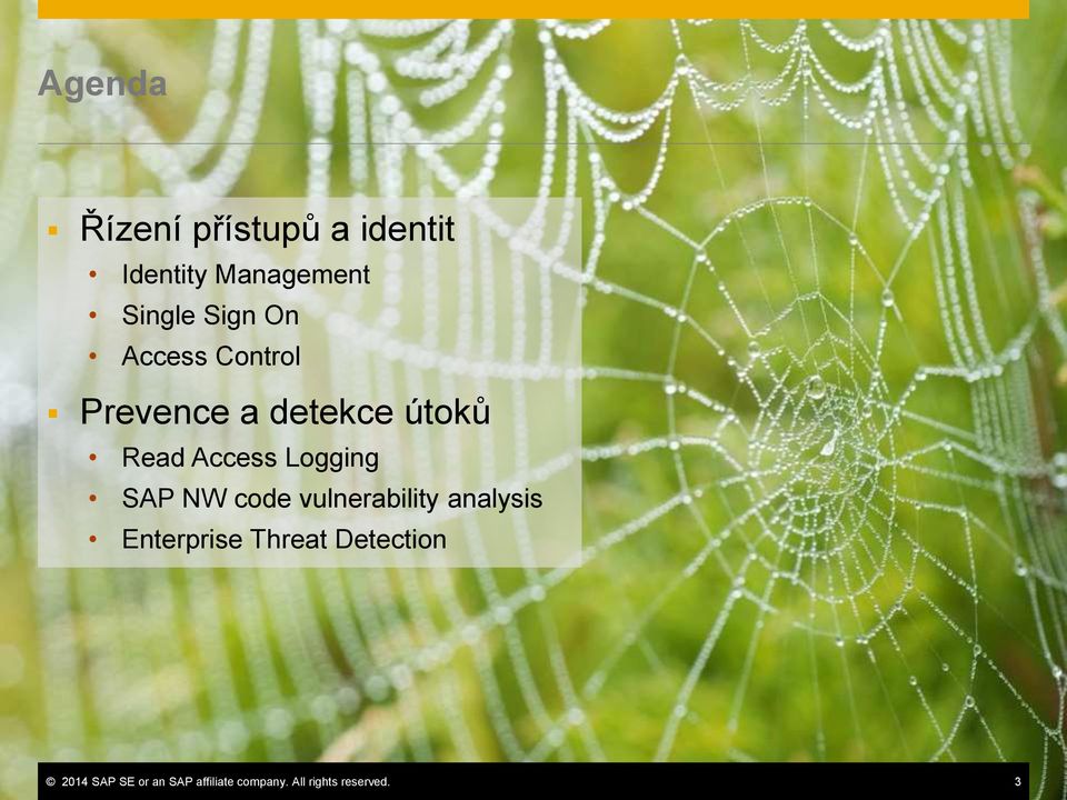 Logging SAP NW code vulnerability analysis Enterprise Threat