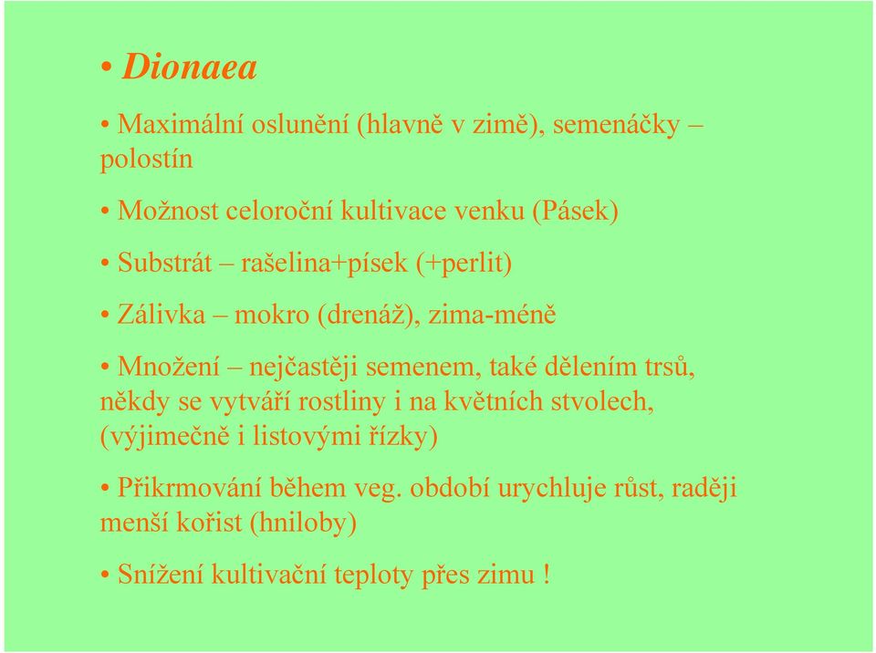 také dělením trsů, někdy se vytváří rostliny i na květních stvolech, (výjimečně i listovými řízky)