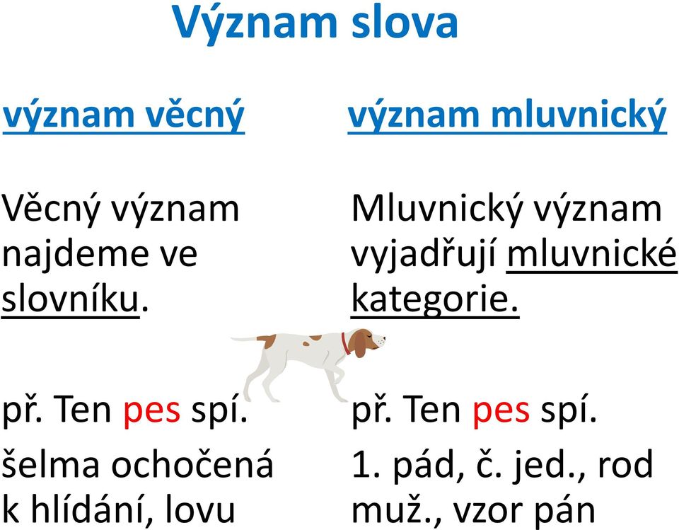 význam mluvnický Mluvnický význam vyjadřují mluvnické