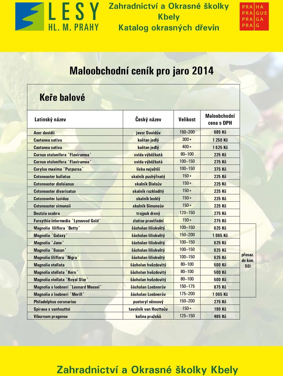 150 375 Kč Cotoneaster bullatus skalník puchýřnatý 150+ 225 Kč Cotoneaster dielsianus skalník Dielsův 150+ 225 Kč Cotoneaster divaricatus skalník rozkladitý 150+ 225 Kč Cotoneaster lucidus skalník