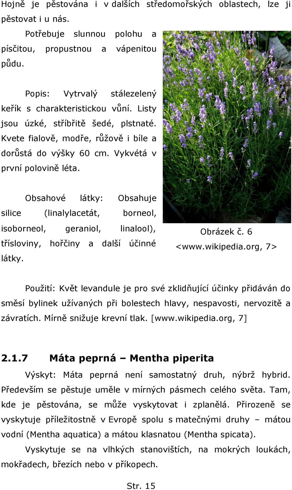 Obsahové látky: Obsahuje silice (linalylacetát, borneol, isoborneol, geraniol, linalool), třísloviny, hořčiny a další účinné látky. Obrázek č. 6 <www.wikipedia.