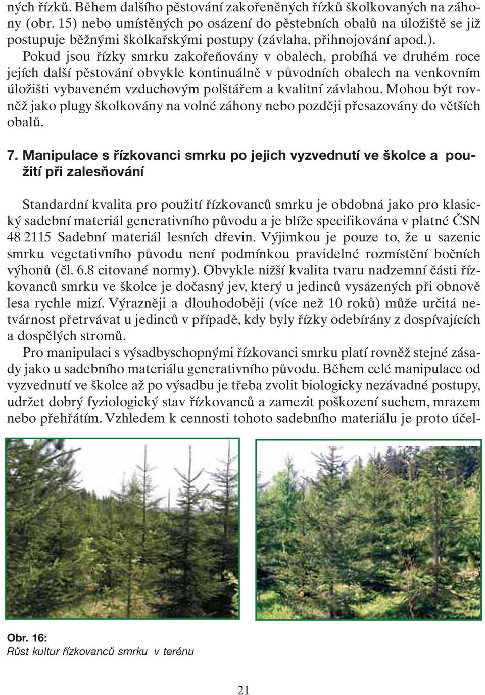 druhém roce jejích další pěstování obvykle kontinuálně v původních obalech na venkovním úložišti vybaveném vzduchovým polštářem a kvalitní závlahou.