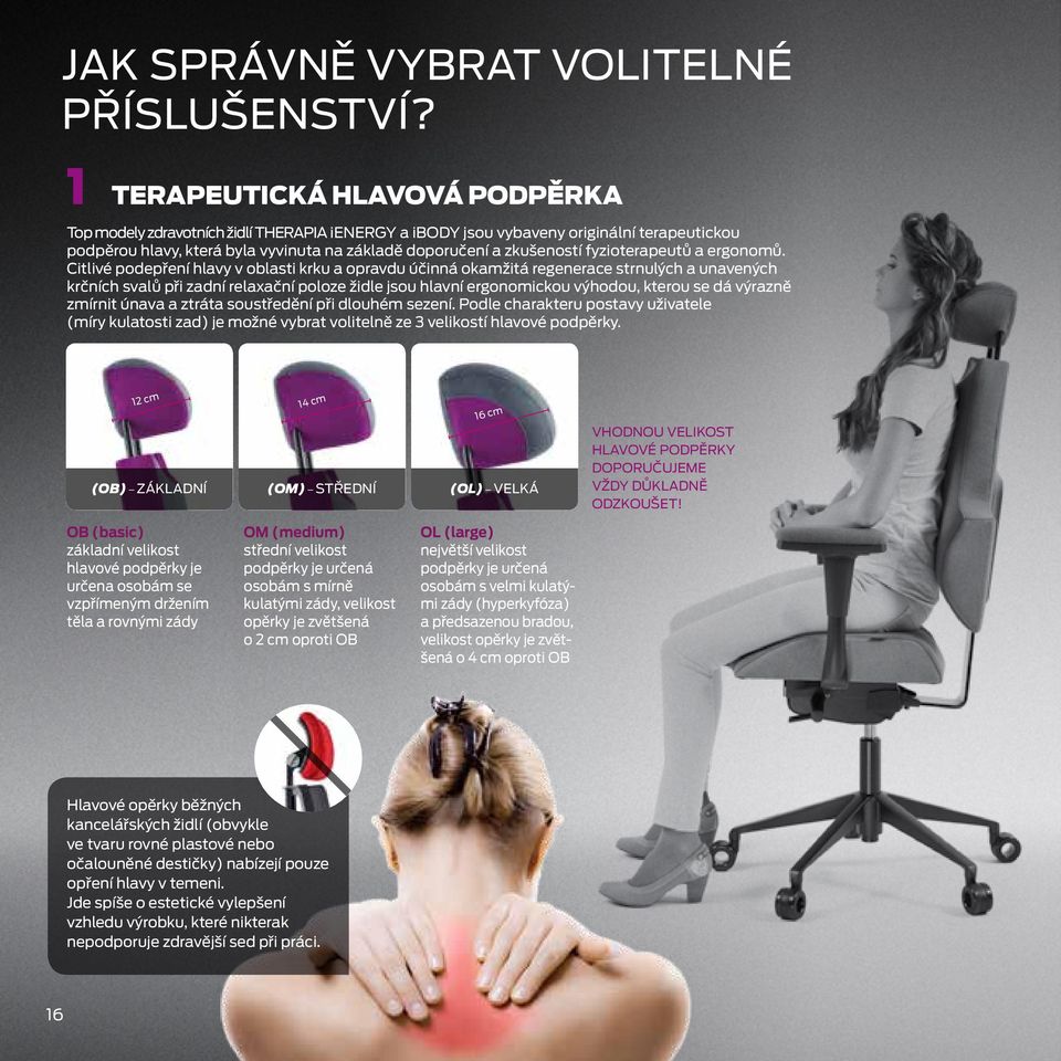 fyzioterapeutů a ergonomů.