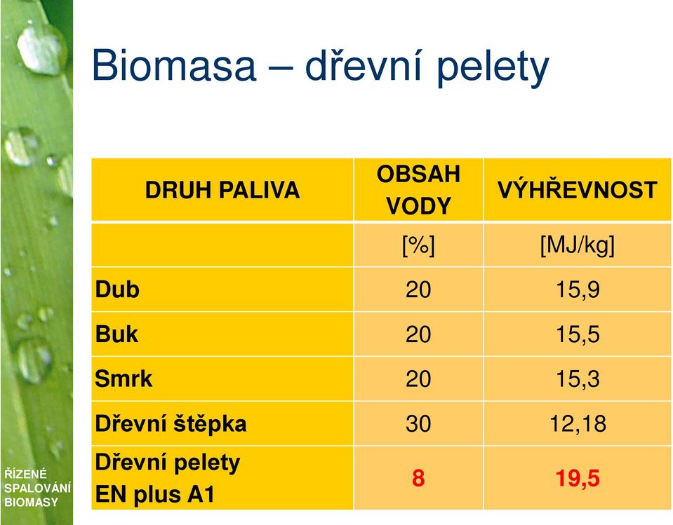 Buk 20 15,5 Smrk 20 15,3 Dřevní štěpka