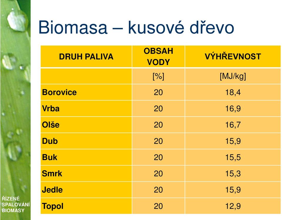 Vrba 20 16,9 Olše 20 16,7 Dub 20 15,9 Buk