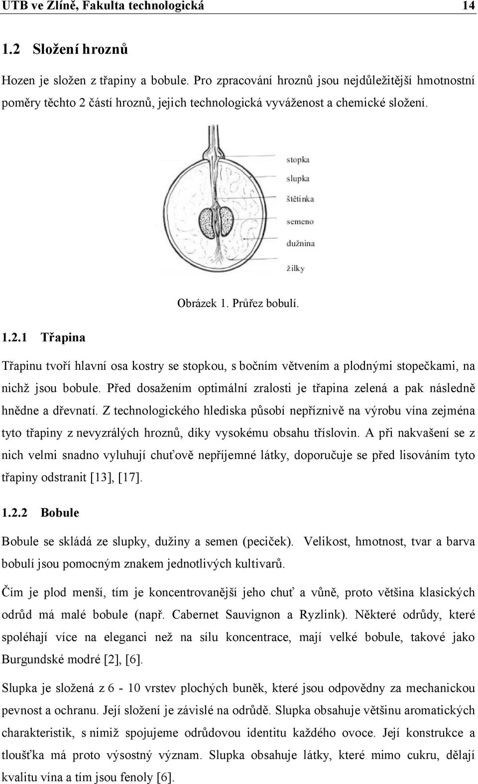 Před dosažením optimální zralosti je třapina zelená a pak následně hnědne a dřevnatí.