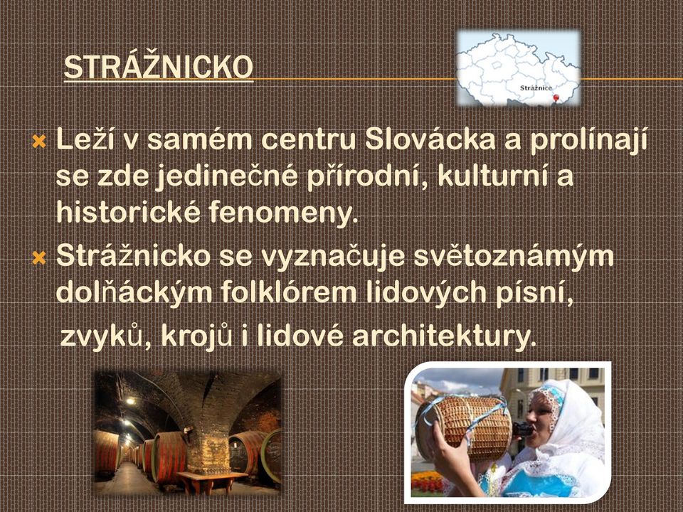 Strážnicko se vyznačuje světoznámým dolňáckým