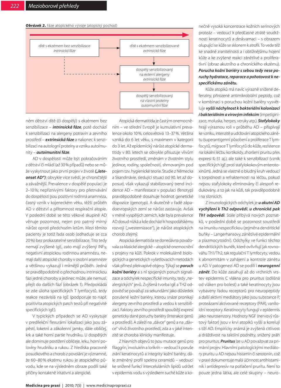 alergeny potravin a zevního prostředí extrinsická fáze a nakonec k senzibilizaci na autologní proteiny a vzniku autoimunity autoimunitní fáze.