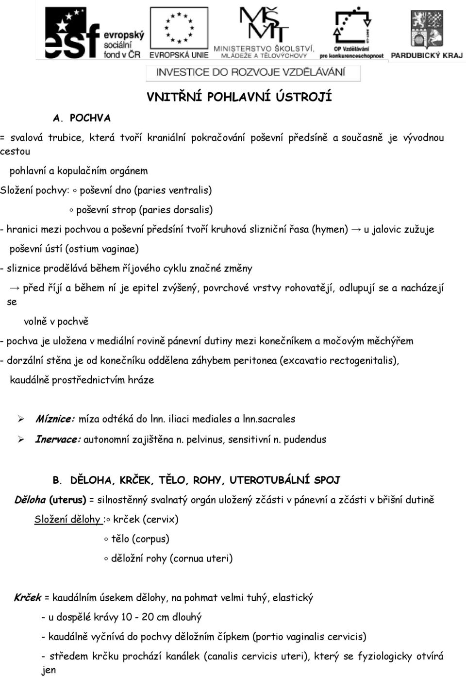 hranici mezi pchvu a pševní předsíní tvří kruhvá slizniční řasa (hymen) u jalvic zužuje pševní ústí (stium vaginae) - sliznice prdělává během říjvéh cyklu značné změny před říjí a během ní je epitel