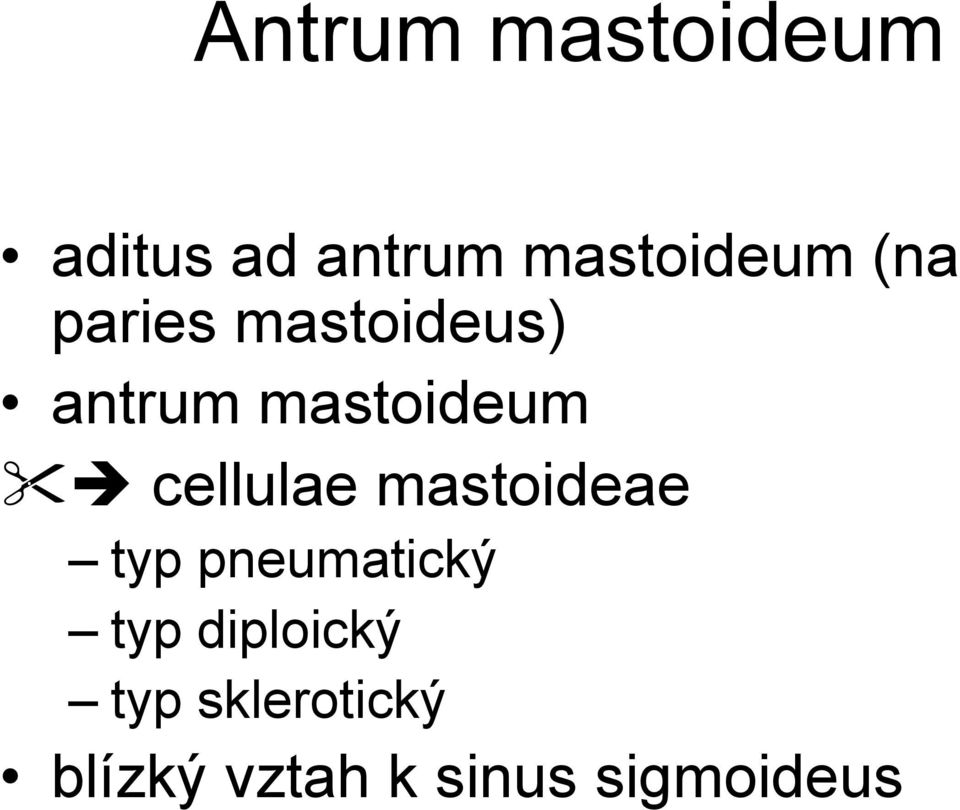 cellulae mastoideae typ pneumatický typ