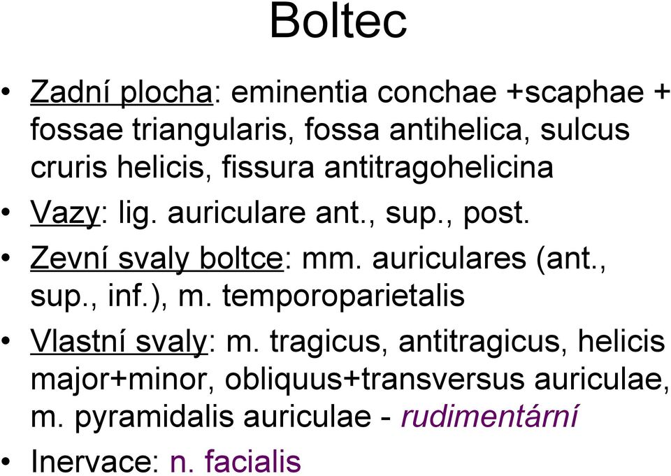 auriculares (ant., sup., inf.), m. temporoparietalis Vlastní svaly: m.