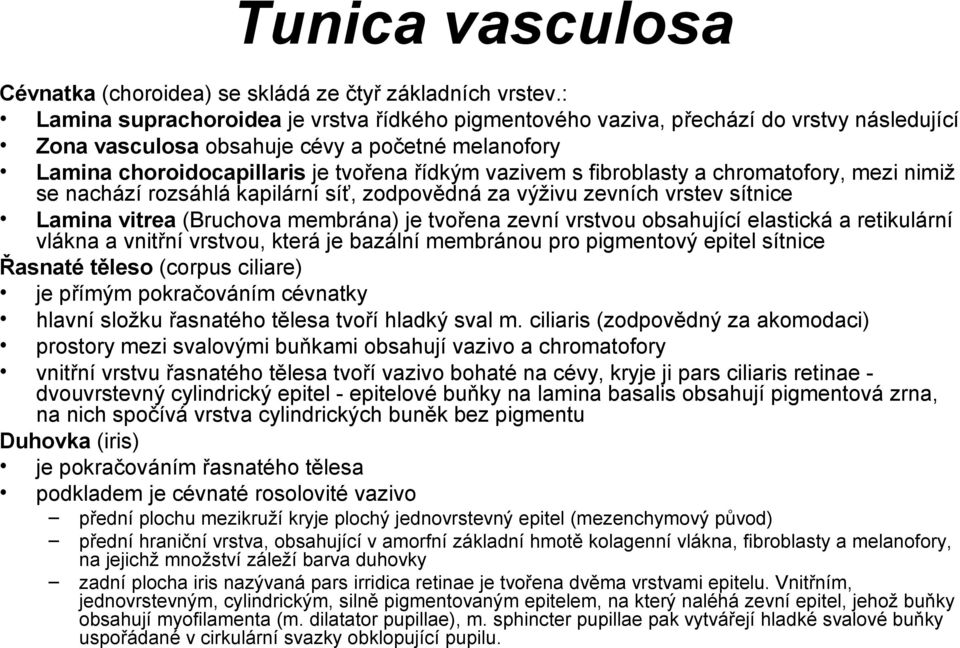 fibroblasty a chromatofory, mezi nimiž se nachází rozsáhlá kapilární síť, zodpovědná za výživu zevních vrstev sítnice Lamina vitrea (Bruchova membrána) je tvořena zevní vrstvou obsahující elastická a