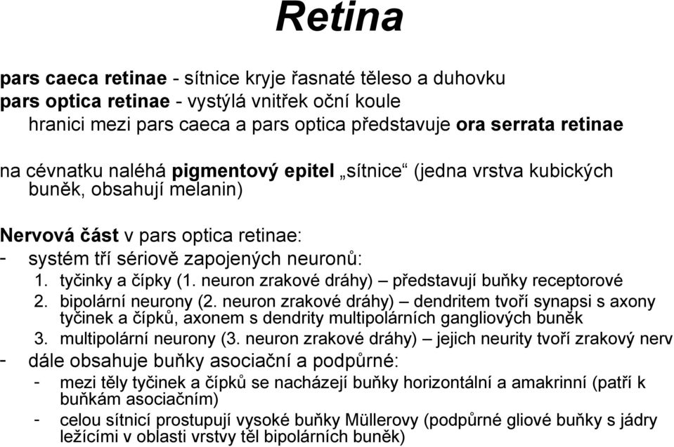 neuron zrakové dráhy) představují buňky receptorové 2. bipolární neurony (2.