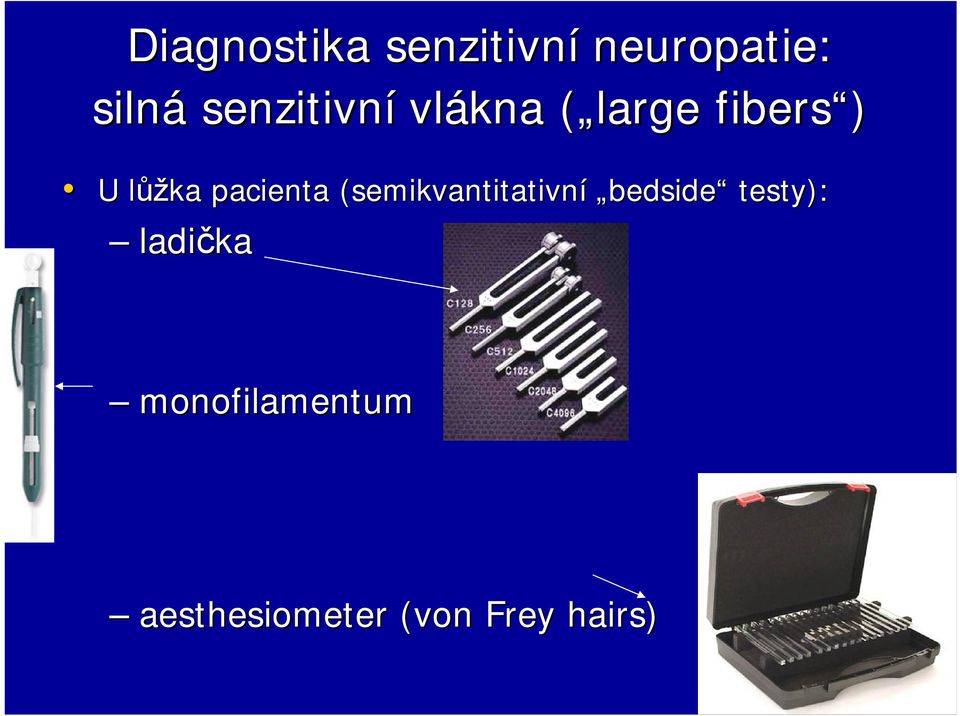 (semikvantitativn( semikvantitativní bedside